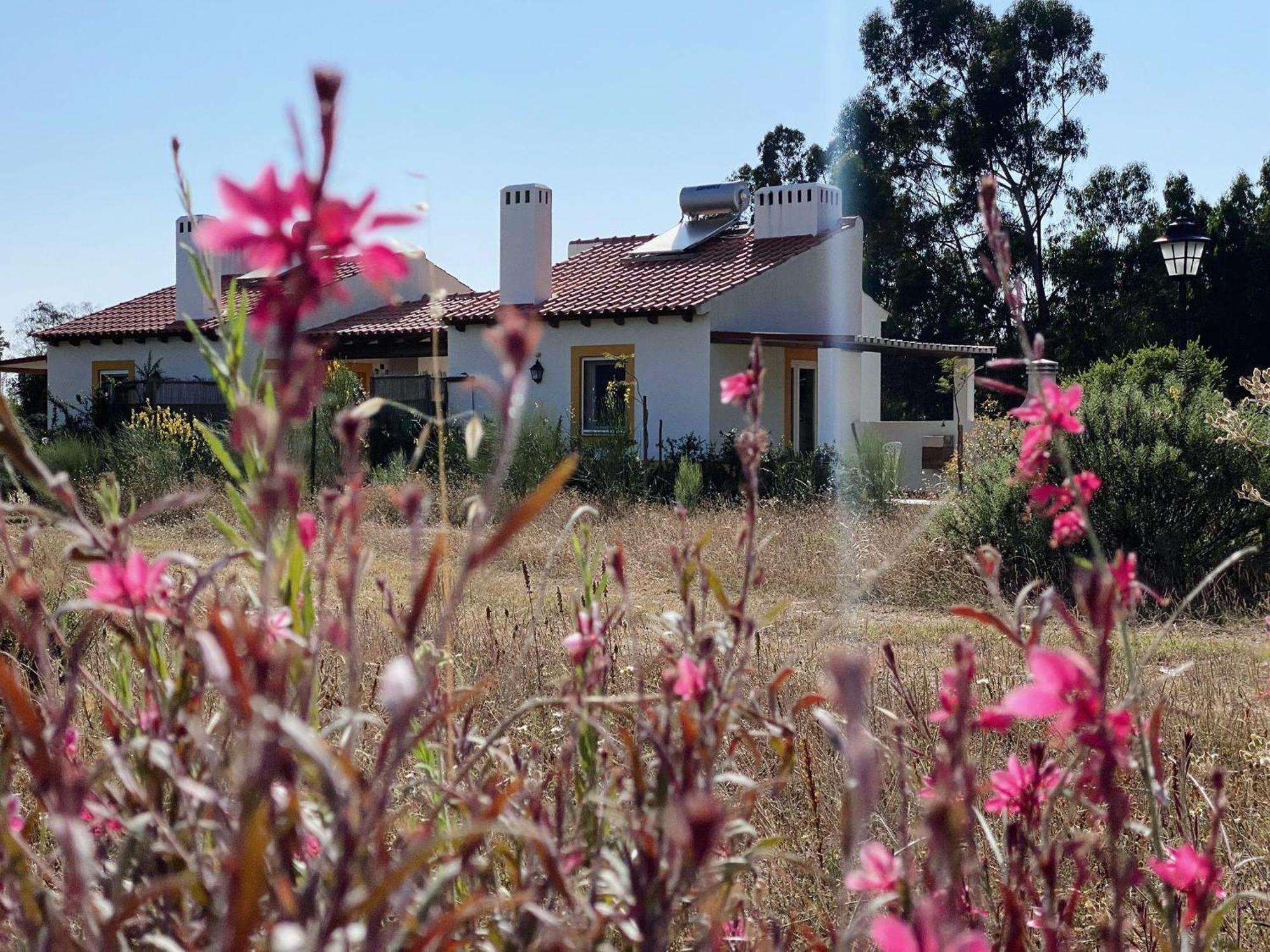 Villa Monte Dos Cachoupos à São Luis Extérieur photo